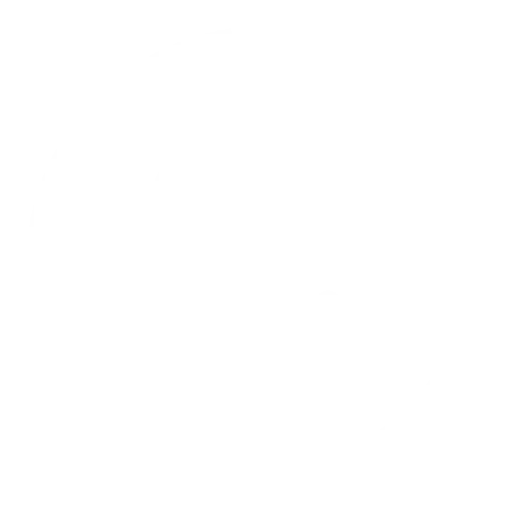 phone-icon